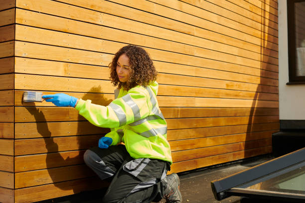 Best Custom Siding Design  in Forest Lake, MN